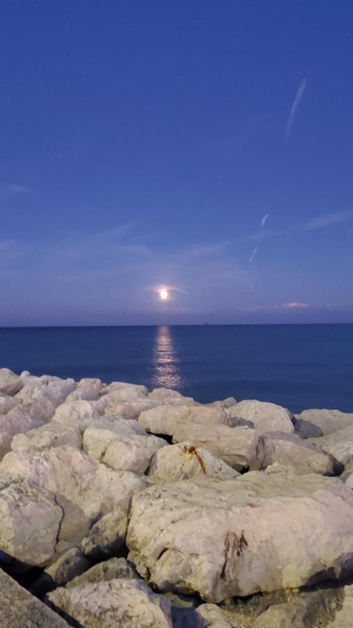 B&B Lido Apartament 10A Civitanova Marche Eksteriør bilde